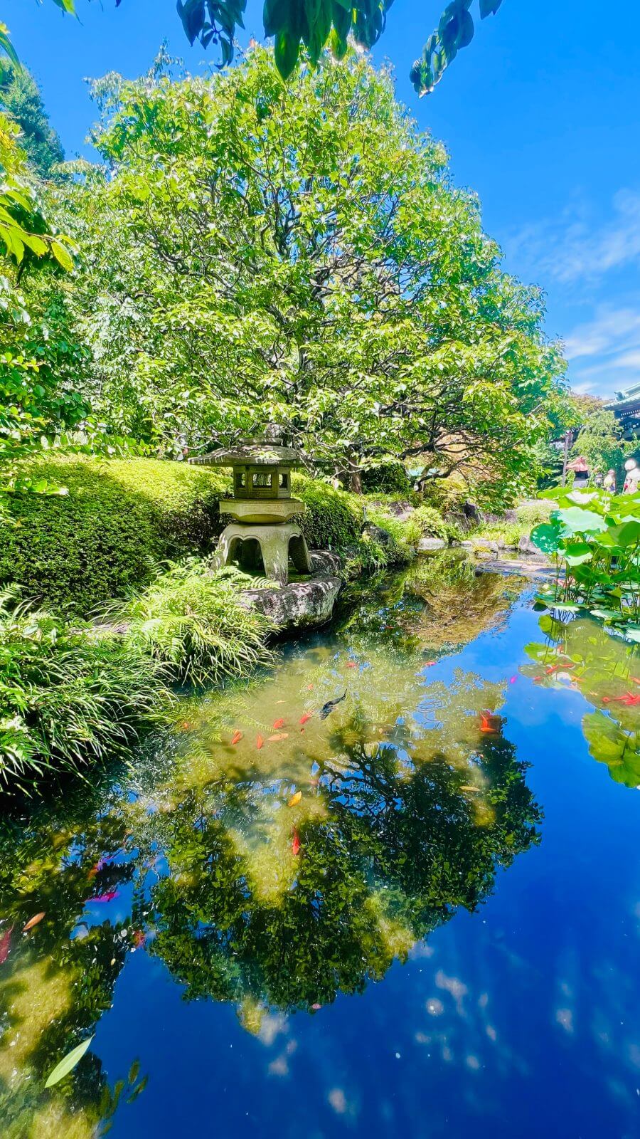 A peaceful Japanese garden